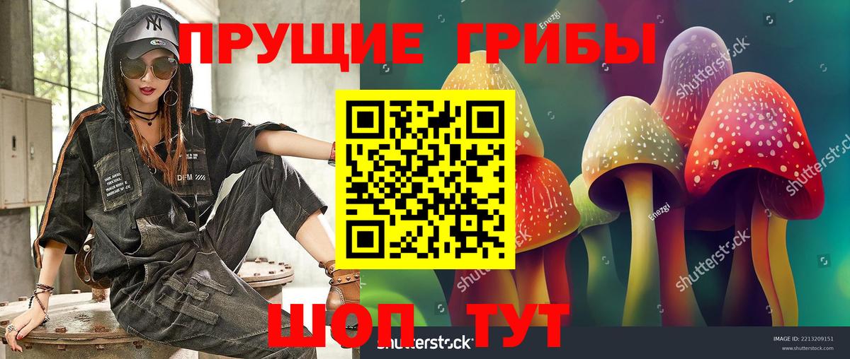 Галлюциногенные грибы Psilocybe  Вход с VPN  купить наркотик  Магадан 